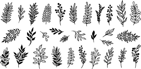 Poster - Vector leaf set, hand drawn leaves, plant doodles isolated collection