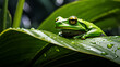 A frog is sitting on a leaf in the rain Vector, Art, Illustration, Clipart