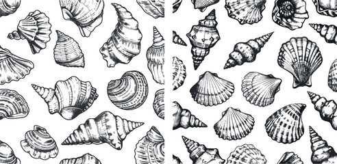 Poster - Hand drawn sea shells black seamless pattern