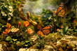 Beautiful butterfly rests among the foliage of a garden, diorama