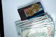 bitcoin wallet with golden crypto currency coin and usd dollars note 