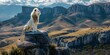 A Majestic White Lion Surveying Its Realm from a Towering Vantage Point Overlooking a Serene Valley