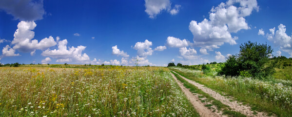 Wall Mural - field near country road, rural landscapes with beautiful sky with clouds