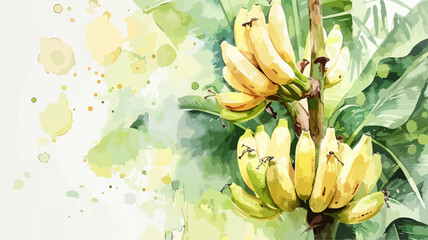 Wall Mural - Bananen Pflanze Baum Tropisch Banane Sommer Obst Natur Blatt Wasserfarben Aquarel Vektor