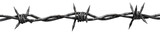A barbed wire isolated on transparent background