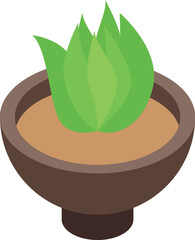Canvas Print - Succulent plant pot icon isometric vector. Home decoration. Green potted