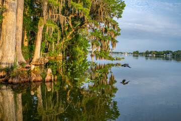 Canvas Print - winter park, florida