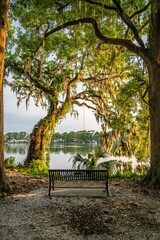 Wall Mural - winter park, florida