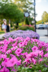 Canvas Print - Winter Park, FL