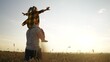 © maxximmm - father and daughter in the park. happy family a behind his back walking in a wheat field silhouette. happy family kid dream concept. father and daughter piggyback happy family sunset
