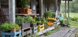 A picturesque homestead with colorful crates of fresh vegetables lining the porch.
