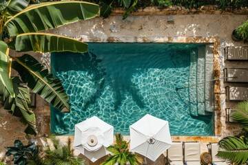 Poster - A birds eye view showcasing a pool in the midst of lush palm trees
