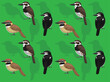 Bird Puffbird Cartoon Cute Seamless Wallpaper Background