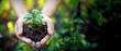Hands holding a small plant in soil with a blurred green background, emphasizing the concept of growth and care. Generative AI