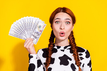 Photo of shocked funky lady dressed cowskin print top lips pouted holding cash fan isolated yellow color background