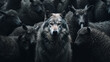 © daniil - wolf in a group of sheep, individuality and identity concept
