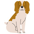 Cocker Spaniel cute on a white background, vector illustration.
