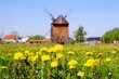 Traditional wooden windmill in Mokry Dwor in Zulawy and 
blooming dandelions on meadow