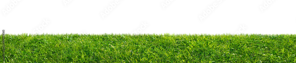 green grass field isolated on transparent background, png