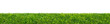© andreusK - green grass field isolated on transparent background, png