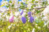 Fototapeta Krajobraz - Happy easter holidays concept; Apple tree branches decorated by easter eggs; close up