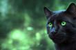 portrait of a black cat with green eyes on green blurred background, banner, background