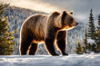 Big brown bear walking in the winter forest. Ranging or insomniac travelling bear.