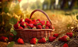 a basket of strawberries sitting on the ground in a field of strawberries with leaves around it and straw straws around it