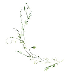 Watercolor painted meadow greenery bouquet frame on white background. Green wild plants, branches, leaves and twigs.