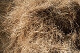 Fototapeta Dmuchawce - Pile of dry hay close up
