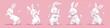 © rabbit75_fot - Banner collection of happy dancing rabbit with different poses on white background.