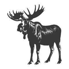 Wall Mural - silhouette moose animal full body black color only