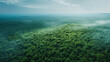 © Running opossum - Pristine aerial view of a vast, lush african forest, symbolizing the ecological efforts of the great green wall initiative combating desertification and climate change