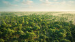 Expansive aerial view showcasing the lush greenery of the african great green wall project, symbolizing progress in environmental conservation and combating desertification