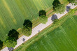 summer country road and trees from above