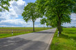 country road agriculture fields and trees empty no car