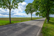 country road agriculture fields and trees empty no car in worms germany