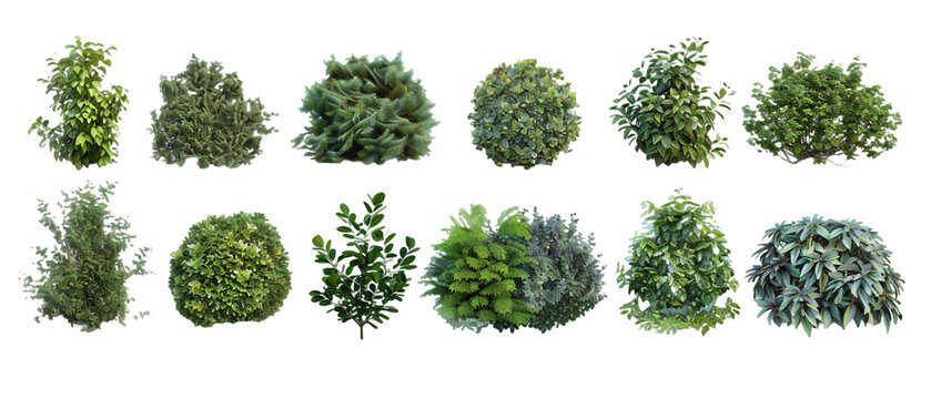 Set of green bushes isolated PNG transparent background