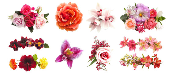Wall Mural - Set of flowers PNG transparent background