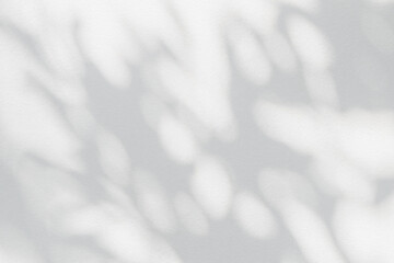 Aufkleber - Tree shadow and leaf branch with light bokeh background. Nature leaves tropical jungle light and dark shadow dappled on white concrete wall texture for background wallpaper, overlay effect and design