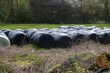 Hay bales wrapped in black plastic foil