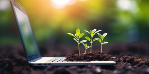 Wall Mural - A green plant sprouts from a laptop keyboard. Eco system concept, sustainability. Generative AI.