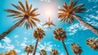 © anwel - Exciting airplane adventure above vibrant tropical palm trees in a stunning exotic setting