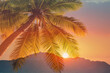tropical golden sunrise coconut tree and majestic beautiful mountain 