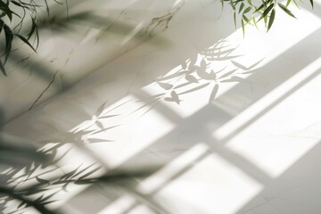 Poster - High-angle view of bamboo plant shadows on a light wall, creating a minimalistic and serene scene
