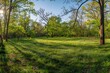 A wide-angle view of a spring landscape with blooming young grass covering a grassy field surrounded by trees