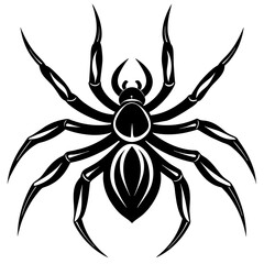 Wall Mural - spider on white background