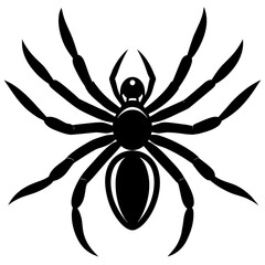 Wall Mural - spider on white background