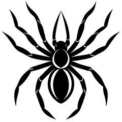 Wall Mural - spider on white background