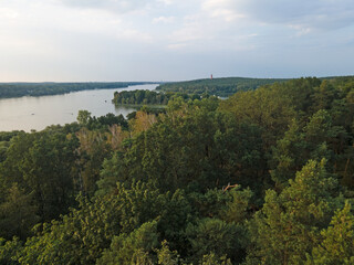 Wall Mural - Aerial landscape of island in river and Grunewald forest on a sunny summer day in Berlin